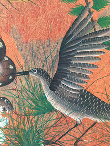Jean-Bosco Kamba - Birds and their prey