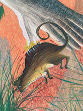 Load image into Gallery viewer, Jean-Bosco Kamba - Birds and their prey
