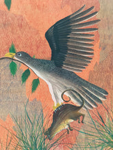 Load image into Gallery viewer, Jean-Bosco Kamba - Birds and their prey