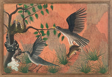Load image into Gallery viewer, Jean-Bosco Kamba - Birds and their prey